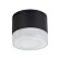 Уличный потолочный светильник Arte Lamp PIAUTOS A1926PF-1BK