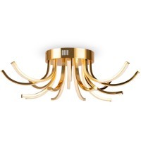 Потолочный светильник Freya FR6046CL-L50G