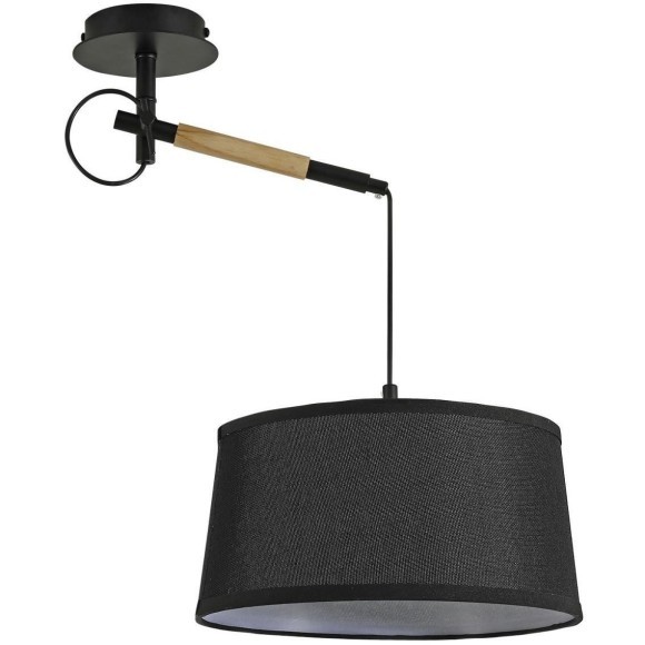 Настенно-потолочный светильник Eureka 3006-1P