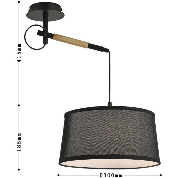 Настенно-потолочный светильник Eureka 3006-1P