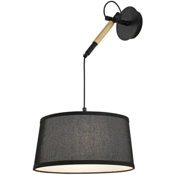 Настенно-потолочный светильник Eureka 3006-1P