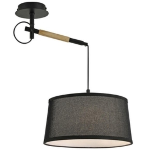 Настенно-потолочный светильник Eureka 3006-1P