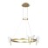 Подвесной светильник Arte lamp DARCY A2187LM-1GO