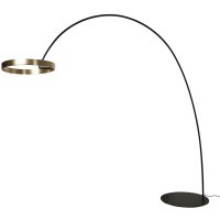 10027 Торшер LOFT IT Ring