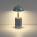Настольная лампа беспроводная LED*3W 3000K LULU 5452/3TL