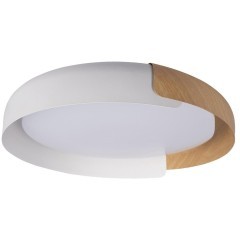 10198 White Потолочный светильник LOFT IT Coin