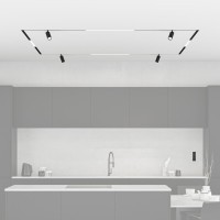 Готовый набор трековой системы Denkirs Smart ZigBee SET (SET SMART ZigBee 03)