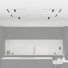 Готовый набор трековой системы Denkirs Smart ZigBee SET (SET SMART ZigBee 03)