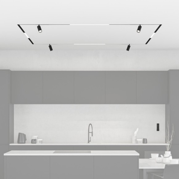 Готовый набор трековой системы Denkirs Smart ZigBee SET (SET SMART ZigBee 03)