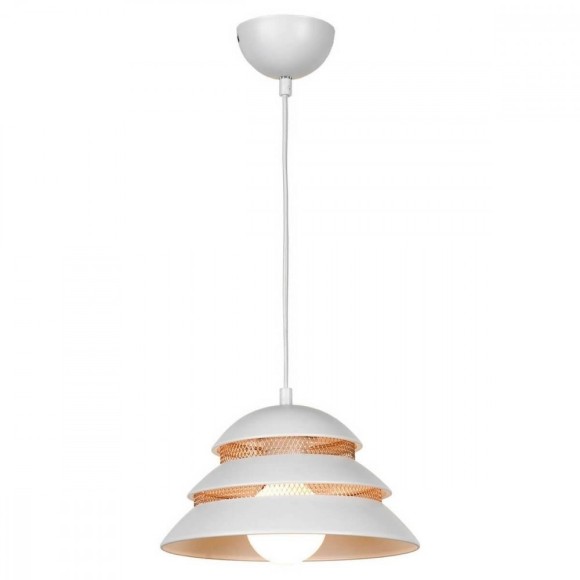 Подвесной светильник с 1 плафоном Lussole GRLSP-8130 BEIJING IP21 под лампу 1xE27 10W