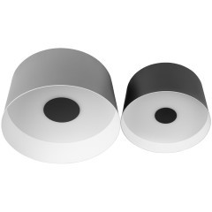 10360/2 Потолочный светильник LOFT IT Duo