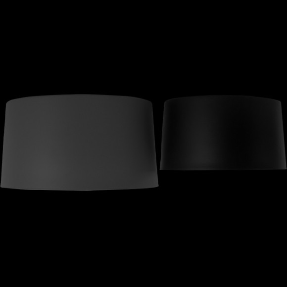 10360/2 Потолочный светильник LOFT IT Duo