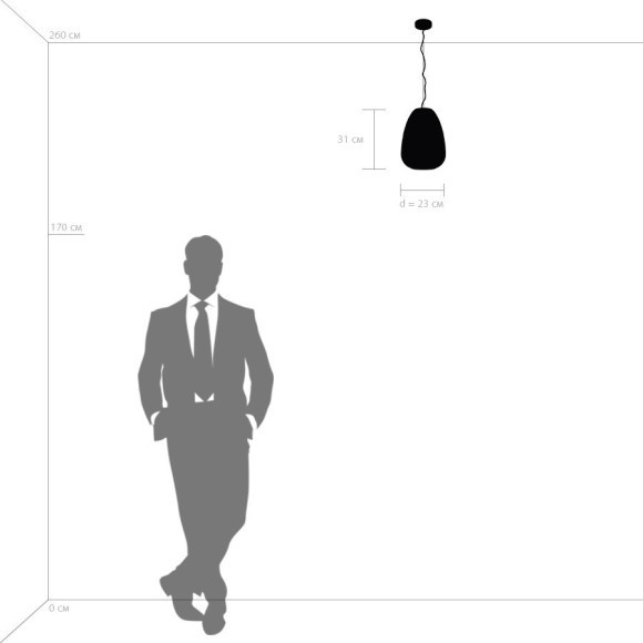 Подвесной светильник с 1 плафоном Lightstar 805012 Arnia под лампу 1xE27 40W