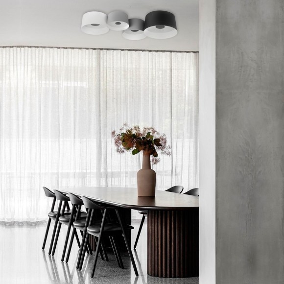 10360/3 Потолочный светильник LOFT IT Duo