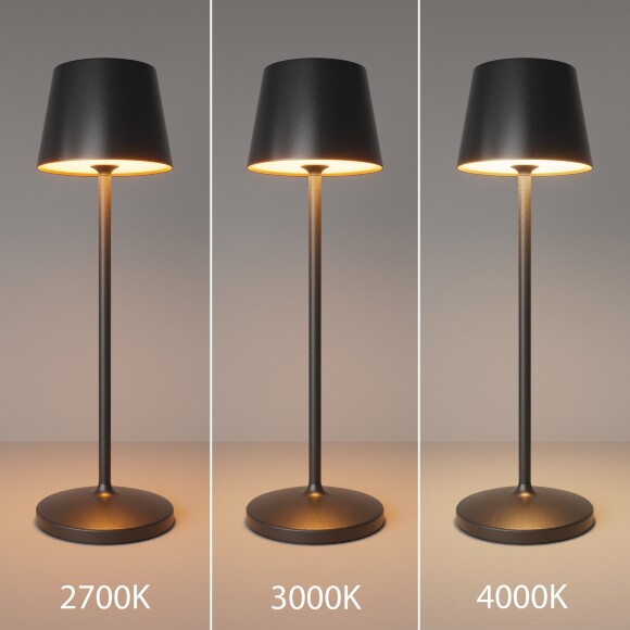 Аккумуляторный светильник Maytoni MOD494RL-L1BK