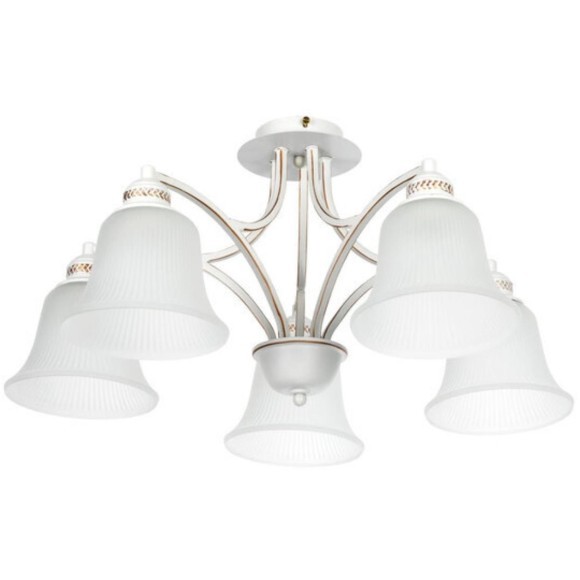 Потолочная люстра Arte Lamp EMMA A2713PL-5WG