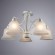 Потолочная люстра Arte Lamp EMMA A2713PL-5WG