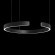 10025/600 Black Подвесной светильник LOFT IT Ring