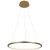 10014M Подвесной светильник LOFT IT Ring
