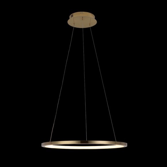 10014M Подвесной светильник LOFT IT Ring 10014M Подвесной светильник LOFT IT Ring