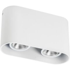 Точечный светильник Lightstar Rullo 214866