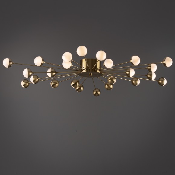 Потолочный светильник Freya FR5242CL-24BS