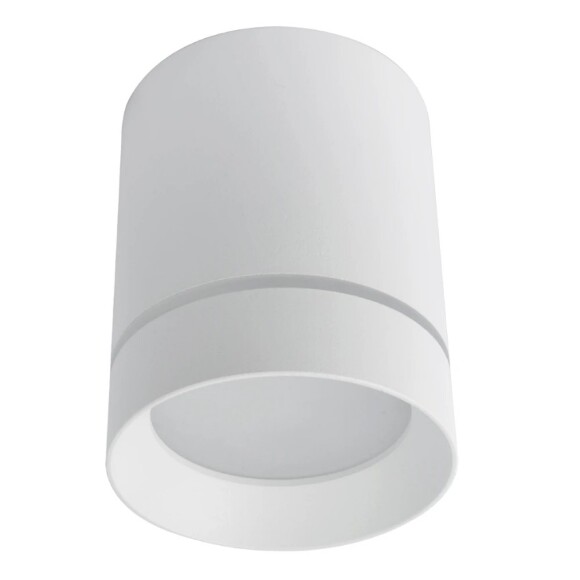 Накладной потолочный светильник Arte Lamp A1949PL-1WH ELLE светодиодный LED 9W