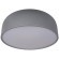 10201/480 Grey Потолочный светильник LOFT IT Axel