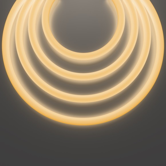 Гибкий неон Nemo D25 24В 14,4Вт/м 2700К IP65 5м