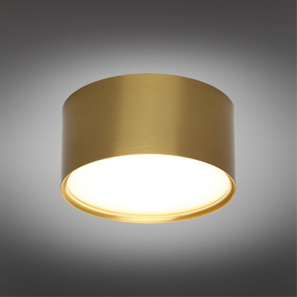 Точечный светильник Salentino OML-100929-12