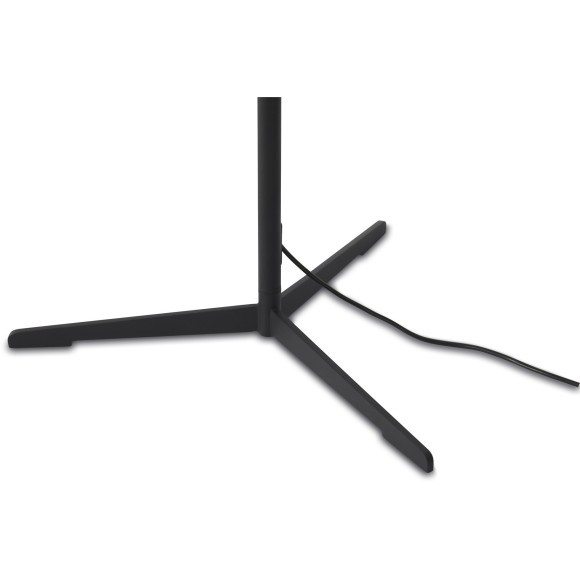 Напольный светильник (торшер) Freya FR6132FL-L15B