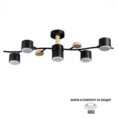 Потолочный светильник GX53 Lumion CRYPTO 8194/5C