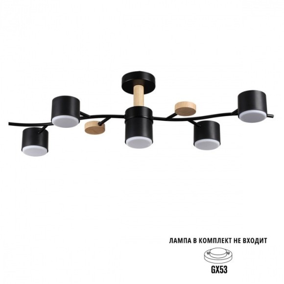 Потолочный светильник GX53 Lumion CRYPTO 8194/5C