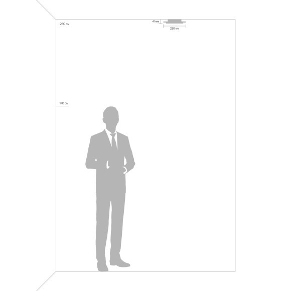 Настенный светодиодный светильник (бра) Freya IONA FR10019WL-L23W Настенный светодиодный светильник (бра) Freya IONA FR10019WL-L23W