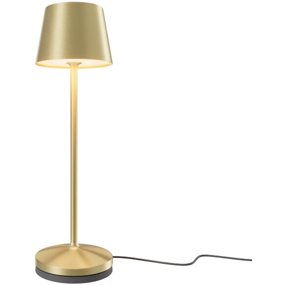 Аккумуляторный светильник Maytoni MOD494RL-L1BSK