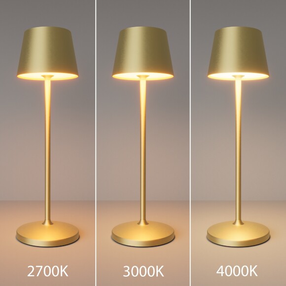 Аккумуляторный светильник Maytoni MOD494RL-L1BSK