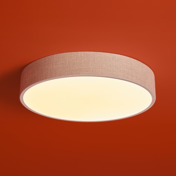 Потолочный светильник Freya FR5555CL-L30BGG Потолочный светильник Freya FR5555CL-L30BGG