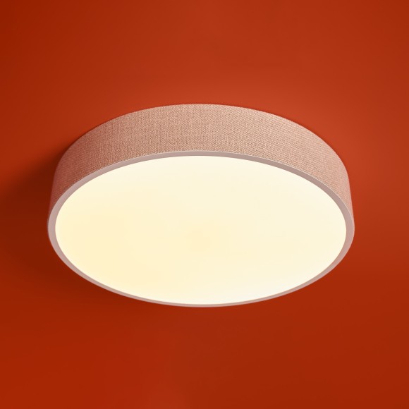 Потолочный светильник Freya FR5555CL-L30BGG Потолочный светильник Freya FR5555CL-L30BGG