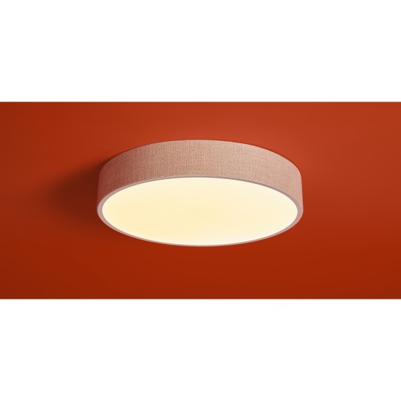 Потолочный светильник Freya FR5555CL-L30BGG Потолочный светильник Freya FR5555CL-L30BGG