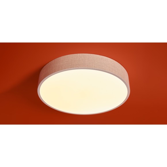 Потолочный светильник Freya FR5555CL-L30BGG Потолочный светильник Freya FR5555CL-L30BGG