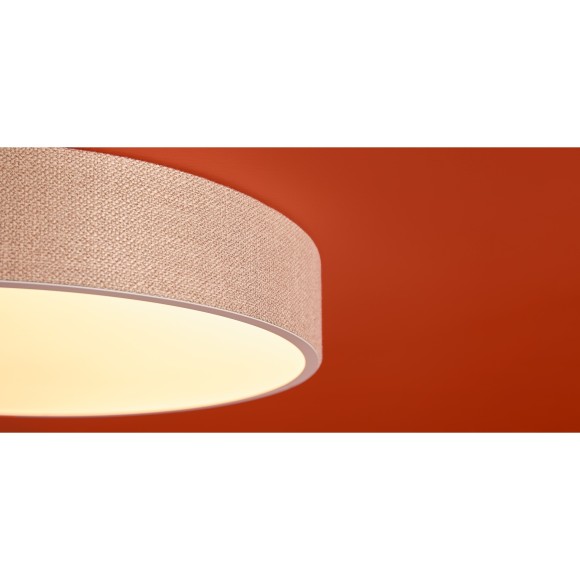 Потолочный светильник Freya FR5555CL-L30BGG Потолочный светильник Freya FR5555CL-L30BGG