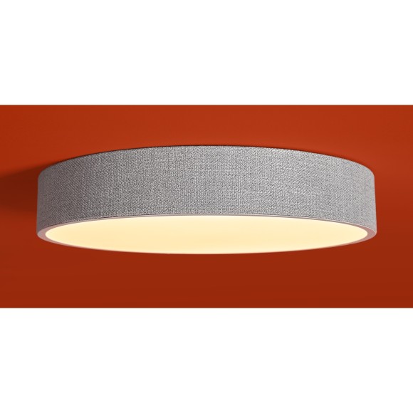 Потолочный светильник Freya FR5555CL-L30BGG Потолочный светильник Freya FR5555CL-L30BGG