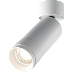 Потолочный светильник Technical C055CL-L12W4K-Z-W