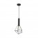 Подвесной светильник с 1 плафоном Maytoni T021-01-B SPIDER под лампу 1xE27 60W