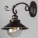 Бра Arte Lamp A4577AP-1CK Grazioso под лампу 1xE27 60W