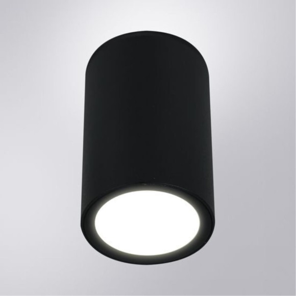 Уличный потолочный светильник Arte Lamp TORCULAR A1807PF-1BK
