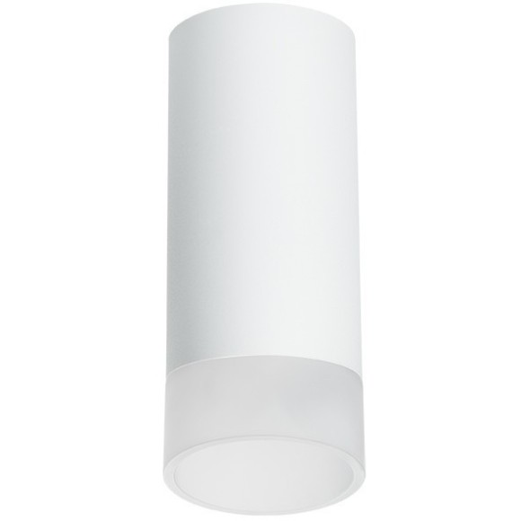 Накладной потолочный светильник Lightstar R648681 RULLO под лампу 1xGU10 50W