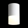 ST100.542.05 Светильник потолочный Белый LED 1*5W 4000K 390Lm Ra&gt;80 120° D64xH110 170-240V Накладные светильники