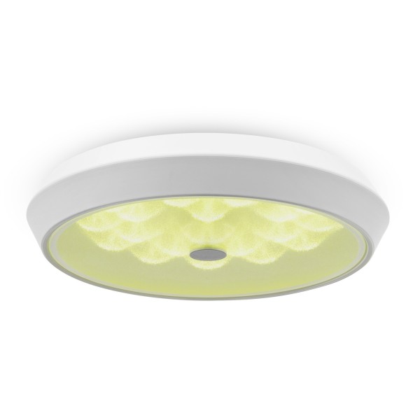 Потолочный светильник светодиодный диммируемый с пультом регулировкой цветовой температуры и яркости Cells FR10012CL-L24W RGB Потолочный светильник светодиодный диммируемый с пультом регулировкой цветовой температуры и яркости Cells FR10012CL-L24W RGB