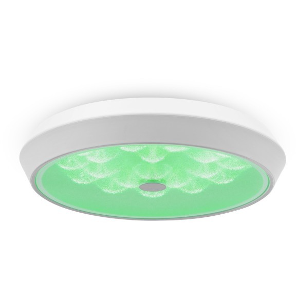 Потолочный светильник светодиодный диммируемый с пультом регулировкой цветовой температуры и яркости Cells FR10012CL-L24W RGB Потолочный светильник светодиодный диммируемый с пультом регулировкой цветовой температуры и яркости Cells FR10012CL-L24W RGB